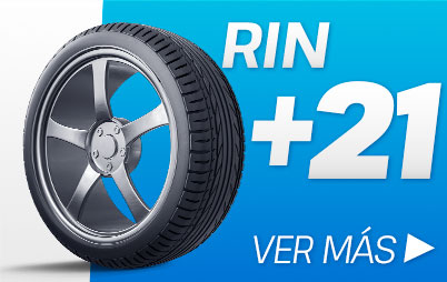 rin21